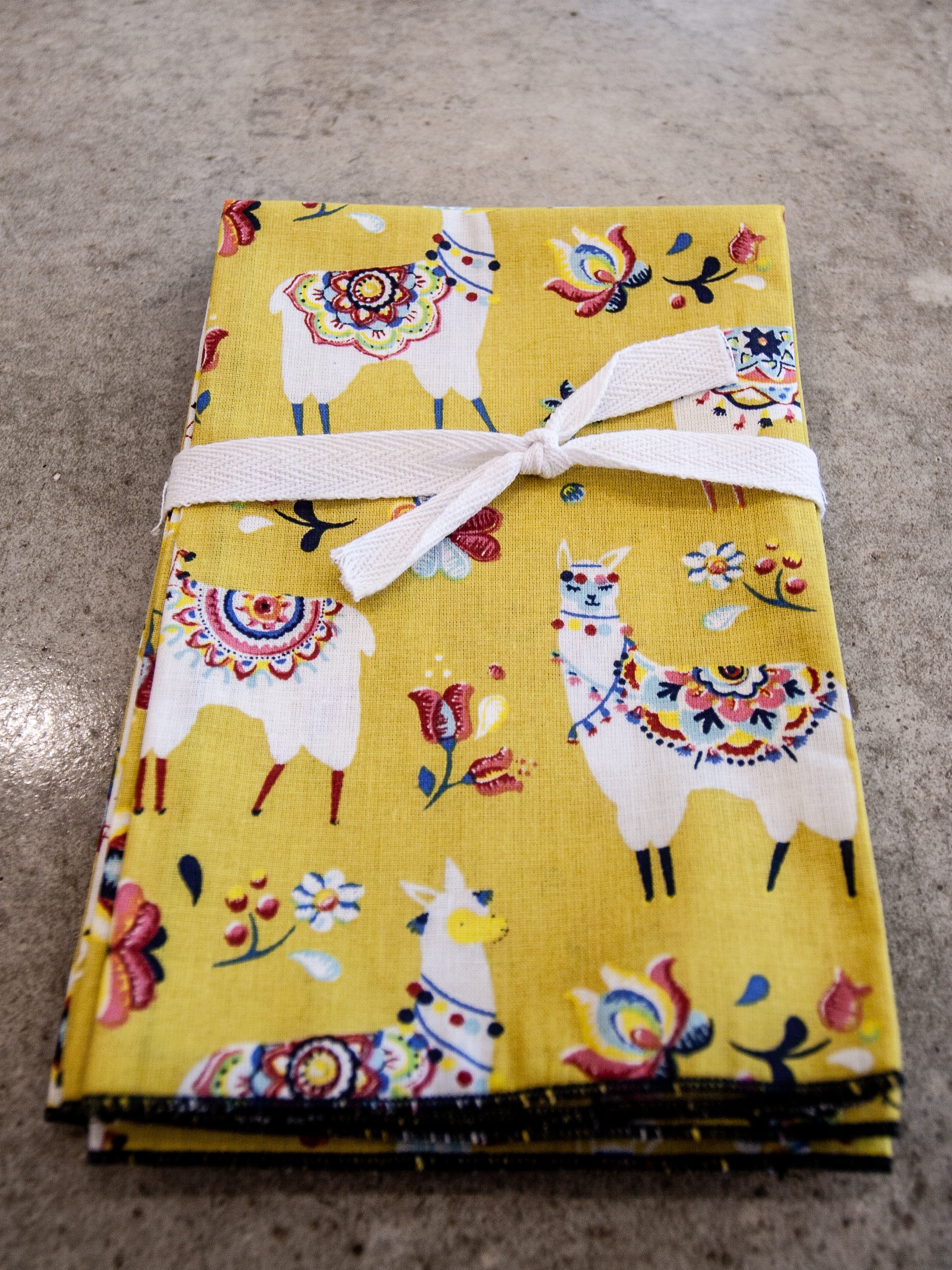 Serviettes de table pour tous les jours (ens. de 4)