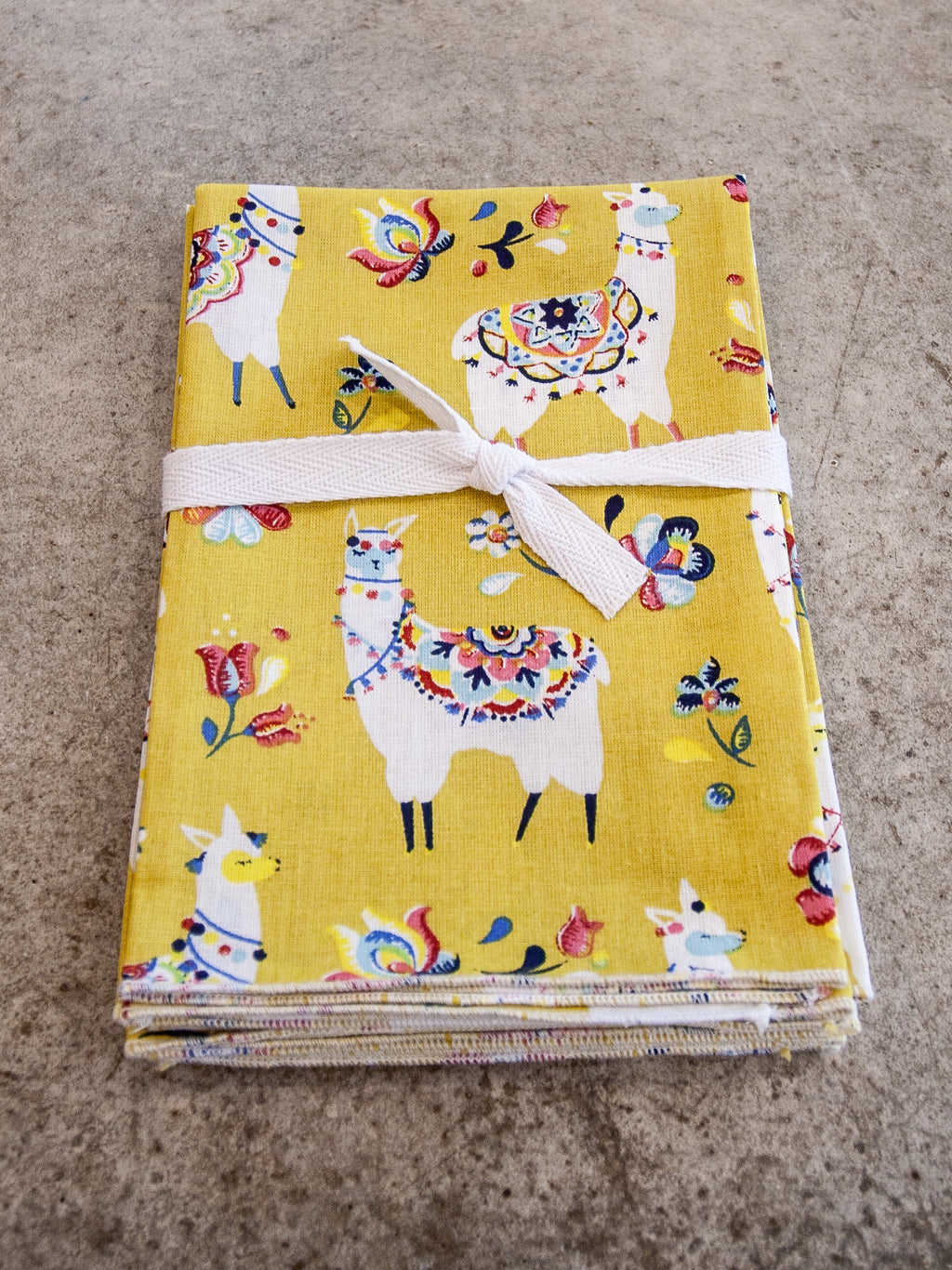 Serviettes de table pour tous les jours (ens. de 4)